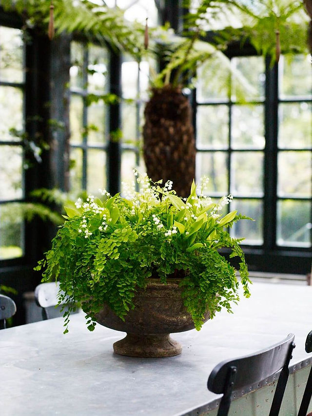 Garden Inside