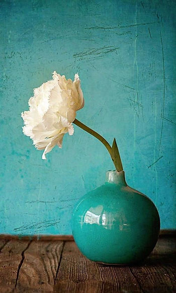 Art in Design: Glass & Pottery