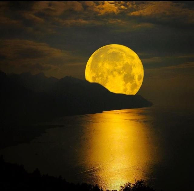 Lamps Today Make Me Run To The Nearest Antique Market