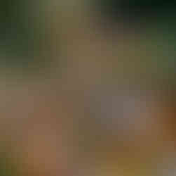 The magic of vintage items in summer gardens and porches.