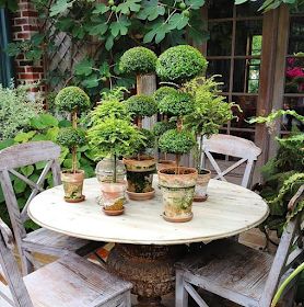 Tabletop Garden