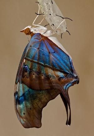 Mother Nature, Artist Extraordinaire