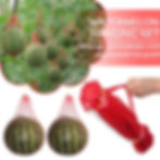 Thumbnail: pcs Reusable Garden Vegetable Storage Mesh Net Hanging Plastic Bags for Waterme