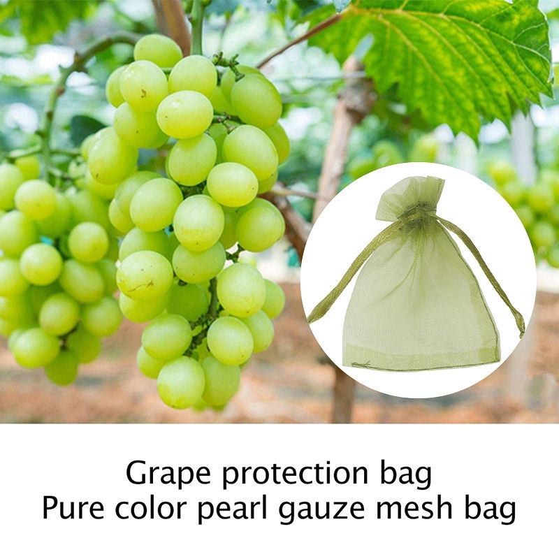 Thumbnail: Pcs Fruits Insect Proof Strawberry Grapes Grow Bags Anti bird Netting Fruit Veg