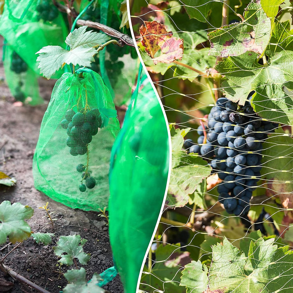 Thumbnail: Pcs Netting with Loop Style Closures Onion Reusable Nylon Mesh Net Produce Groc