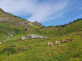 Alpe Vordermellen.jpg
