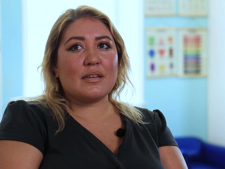 The Immigration Courts