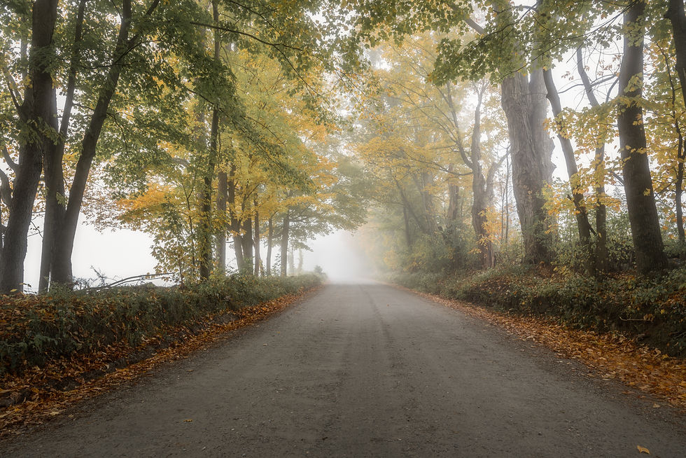 vermont back road in fall