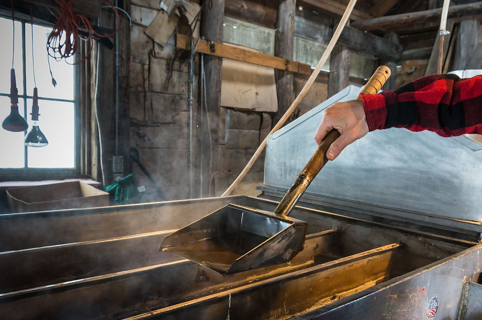 making vermont maple syrup