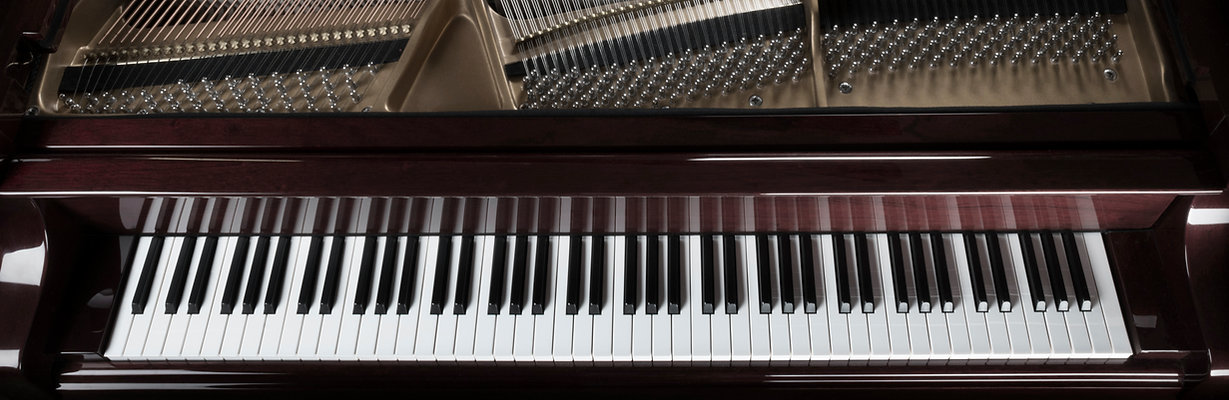 Michael Sherman's Piano Tuning & Service