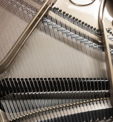 piano tuner fort worth