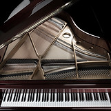 Grand Piano