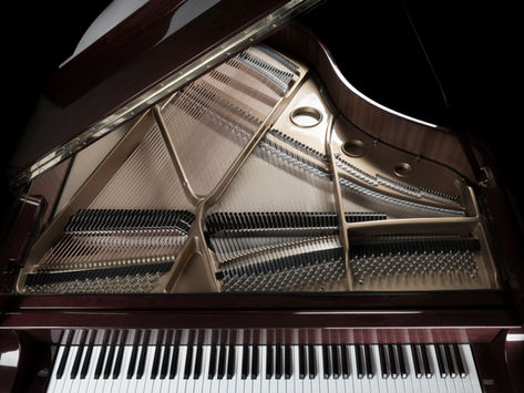 What's the hardest instrument to play?
