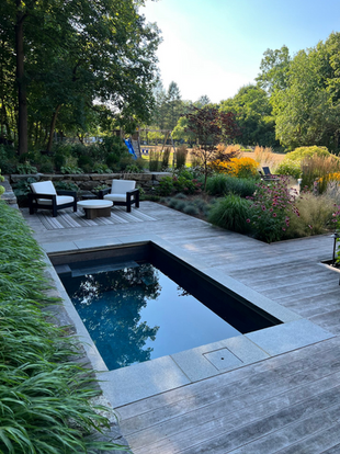 Why We Decided to Get a Pool in Seattle (Yes, Really): June 10, 2025