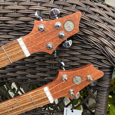 Double neck guitar heasdstocks.jpeg