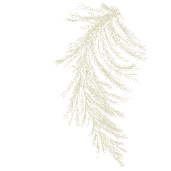 Seja bem-vindo (3).png