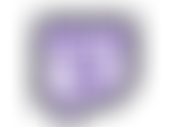 ARRIVA IL TWITCHCOM!