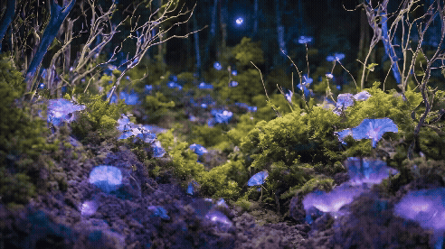 270(contentcreationgif).gif