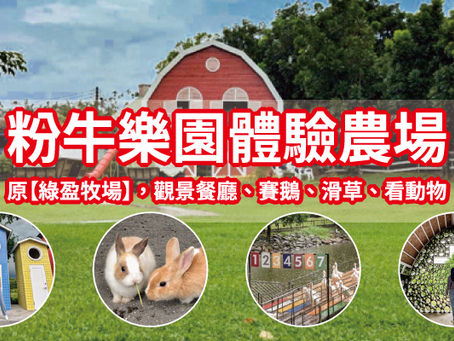 【粉牛樂園體驗農場】觀景餐廳、賽鵝、滑草、看動物|適合親子與拍照的嘉義推薦景點|綠盈牧場