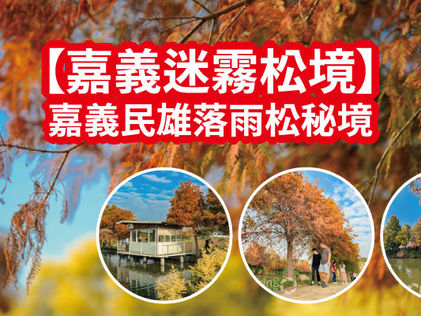 【嘉義迷霧松境】落羽松秘境|嘉義免門票IG熱門打卡景點|民雄落羽松景點