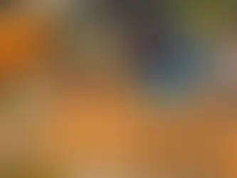 嘉義太保後潭夜市 圖片