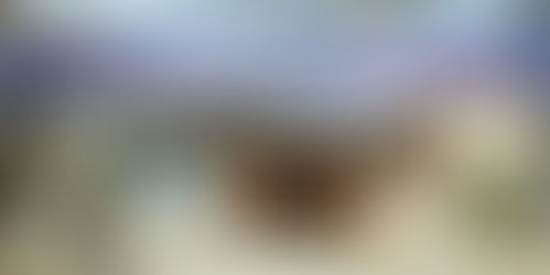 「嘉義文學館：東門町 1923」外觀