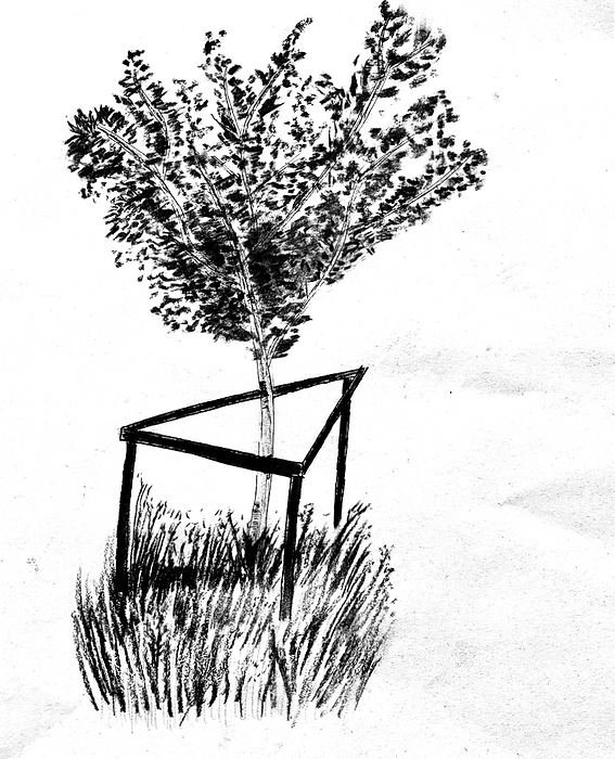 IMG_0292_edited.png