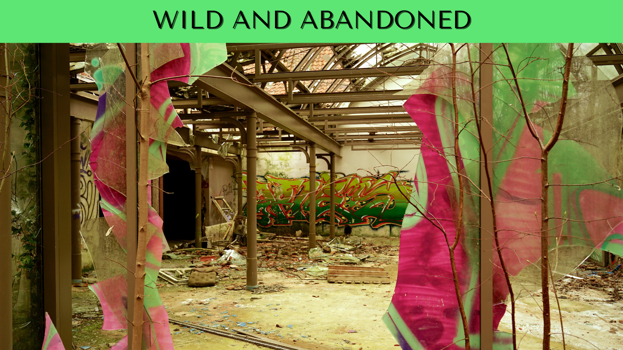 Wild and abandoned