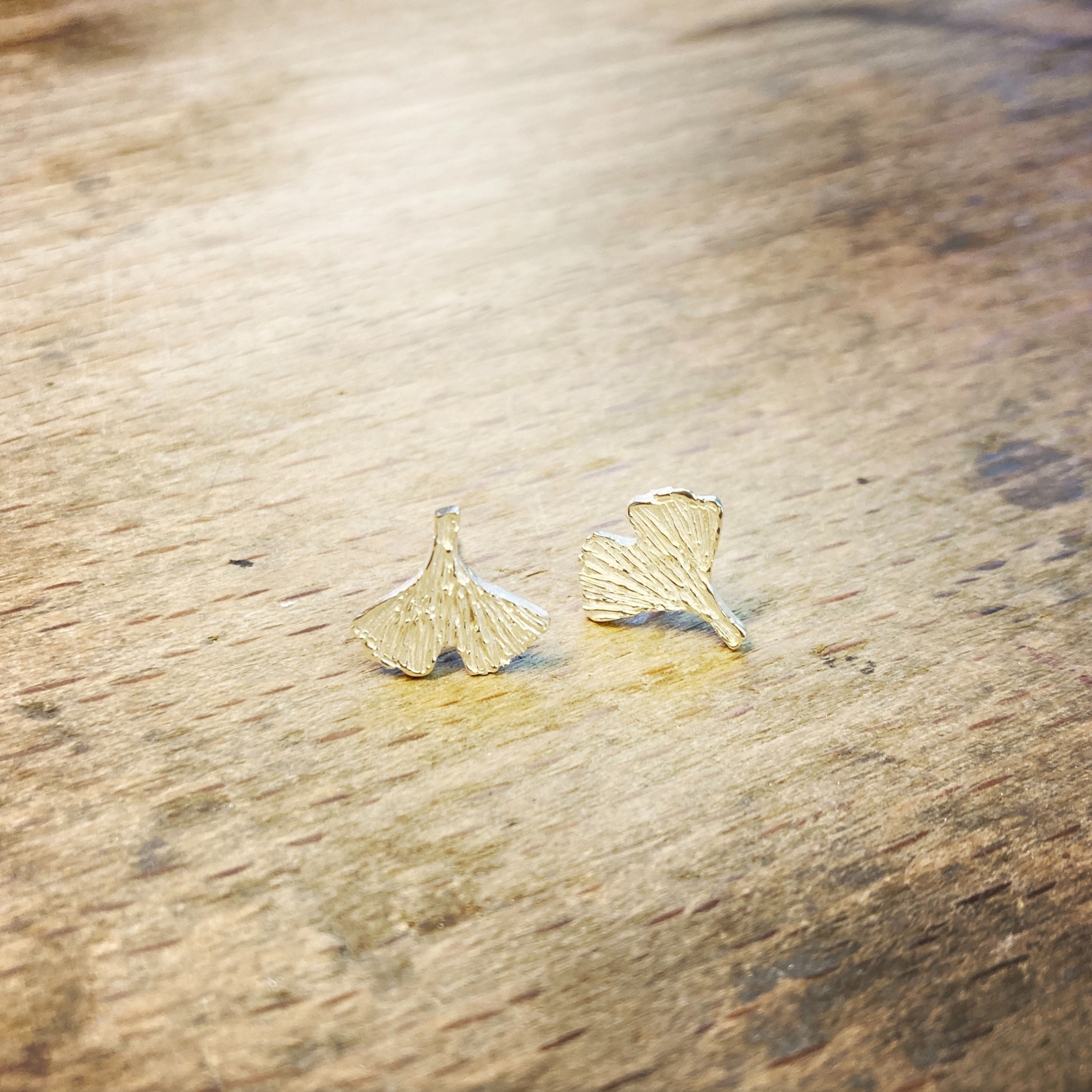 Stekeroorbellen Gingko zilver