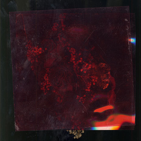 Mathilde Nardone-Promenade 6-30x30cm-75DPI.jpg.jpg