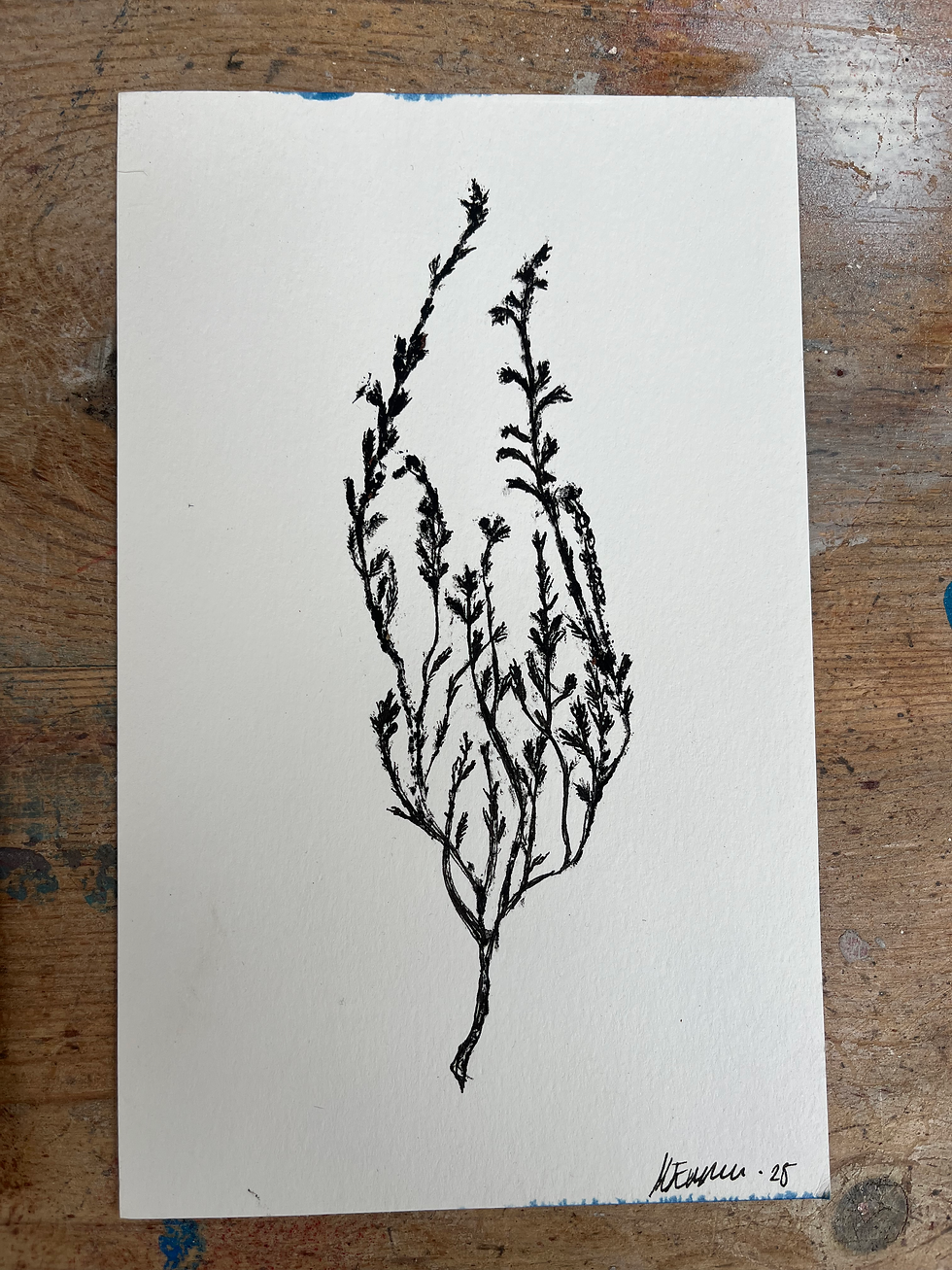 Thumbnail: Heather, set of 3 prints