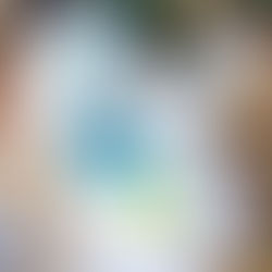 Altenew Craft-A-Flower: Morning Glory Layering Die Set Release Blog Hop + Giveaway