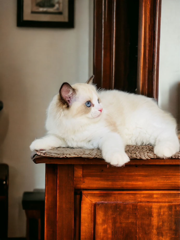 WeChat Image_20230926235230.jpg