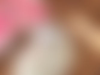 ragdoll kitten for sale in Montreal