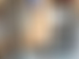 Precious British Longhair Father and Son Avaialble