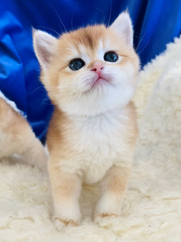 WeChat Image_20231020142425.jpg