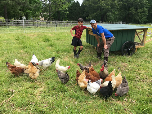 man and boy with pastured egg chickens