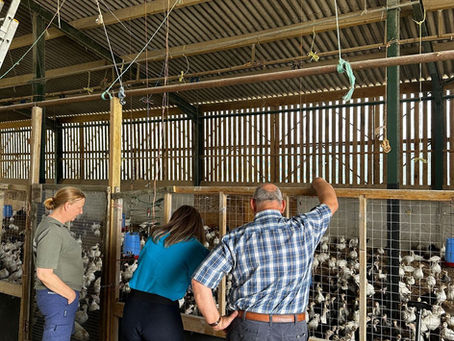 Visit to Whitehouse Farm