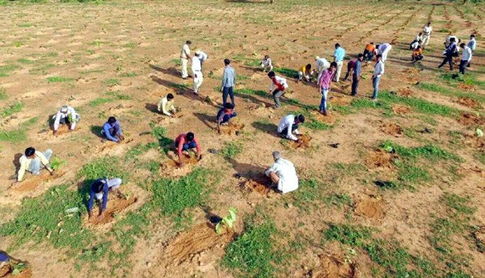 world-record-of-plantation-02-1498971188