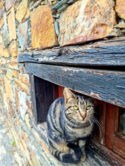 20220226_135316_450x600