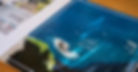 Detailreich-Referenzen-Luca-del-Sol3.jpg