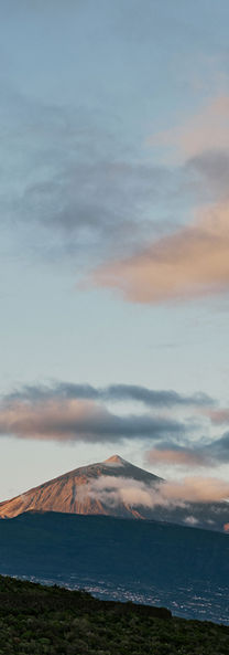 Tenerife, Teneriffa, Ferienvilla, Ferienhaus, Urlaub, Palme, Pool, Sommer, Sonne, Teide