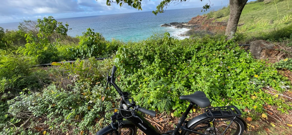 bike tour kauai spouting horn lawai road bike it