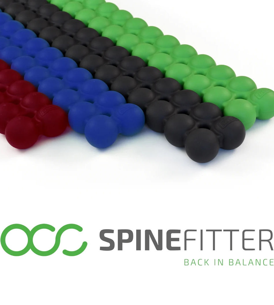 SPINEFITTER Balanced Body新品未使用 SPINEFITTER Balanced Body新品未使用