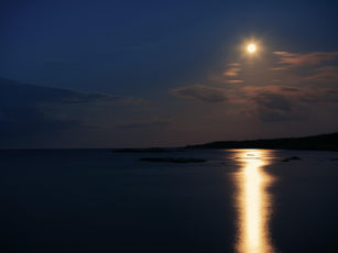 MASTERPIECE IN PROGRESS: OWNING YOUR INNER ARTIST