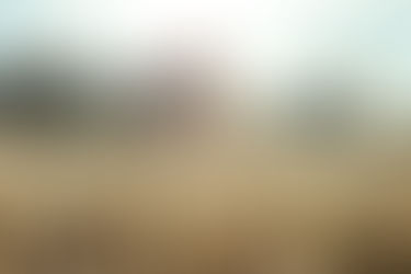 THE ENERGY OF SEASONAL ALLERGIES