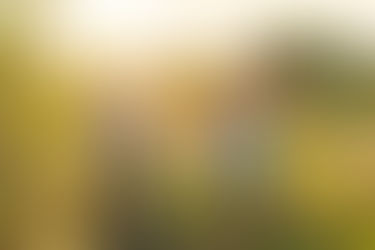 TUNING IN:  MOVEMENT, MESSAGES & THE BODY