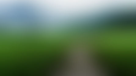 A RESONANT PATH TO WHOLENESS