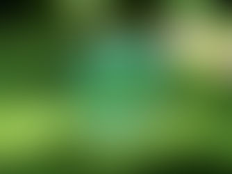 THE WAY BACK TO YOURSELF