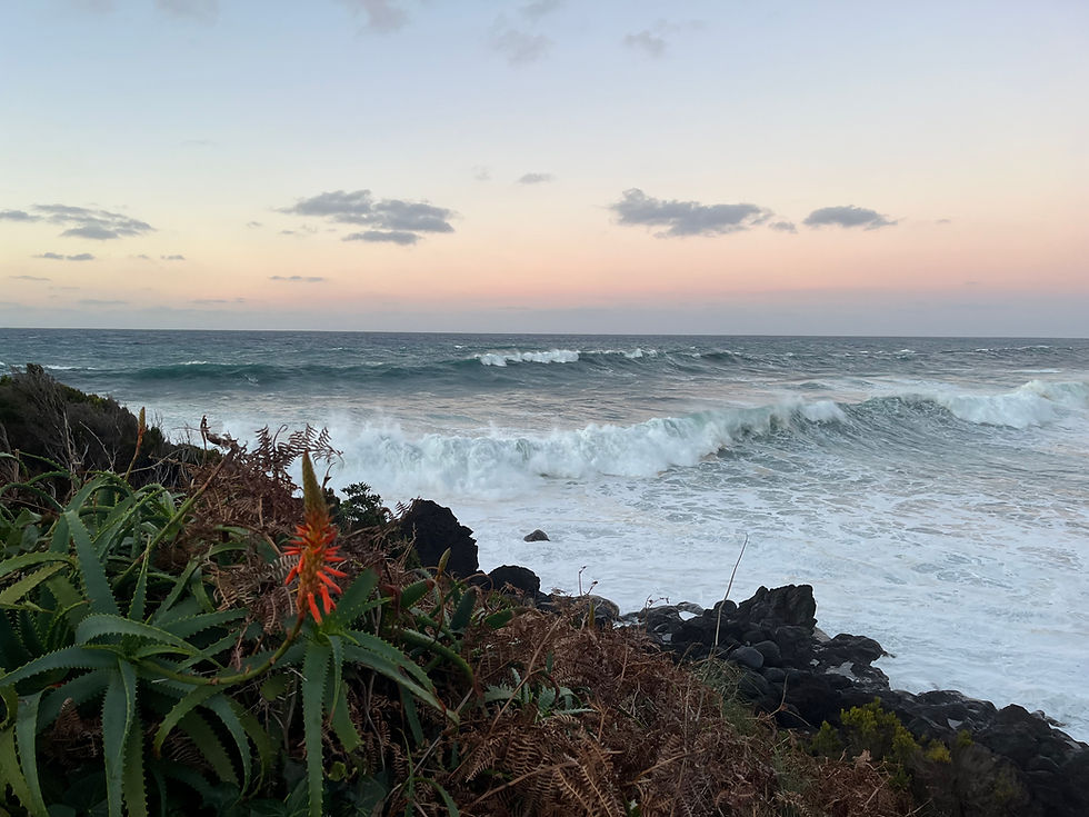 When Everything Falls Apart, Something Begins.